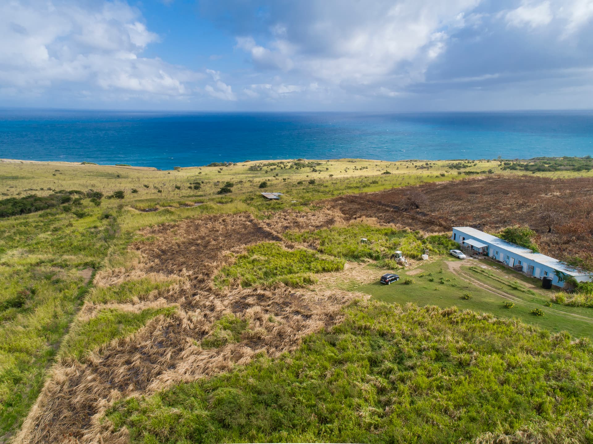 Brighton Estate coastal land